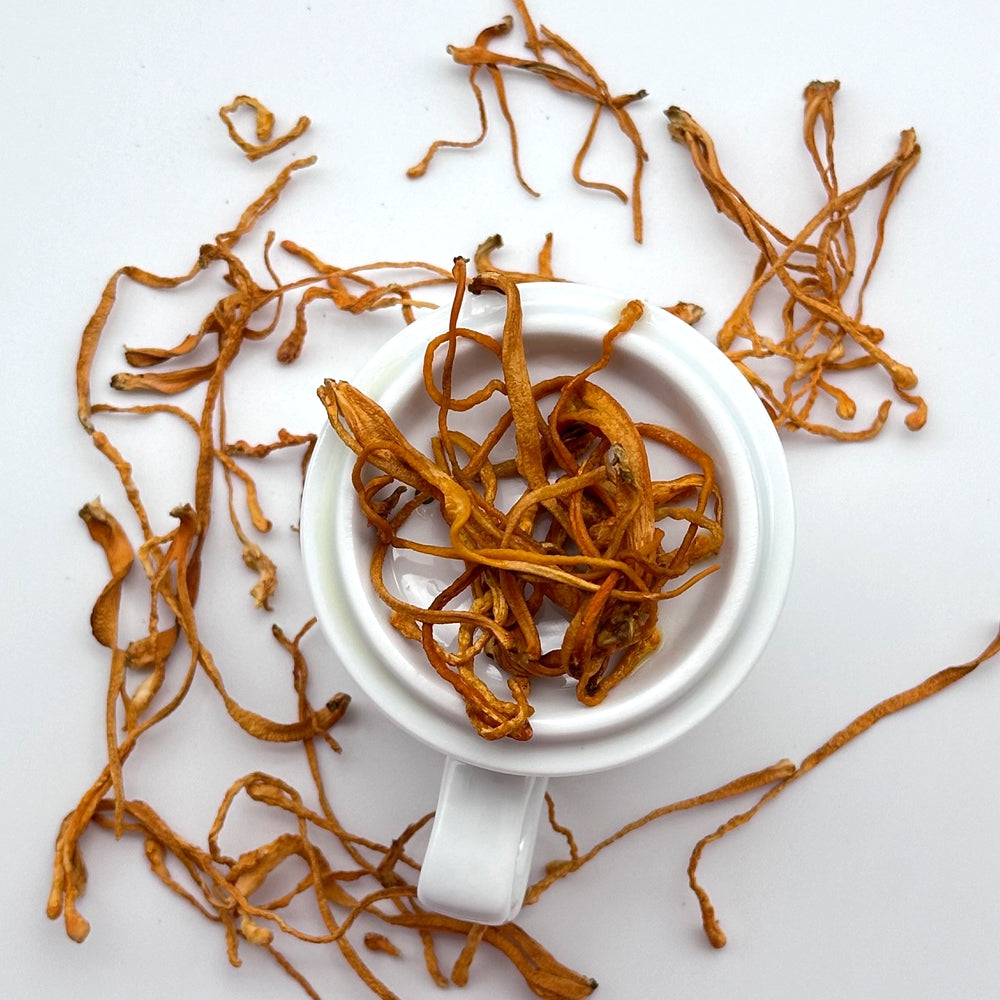 Cordyceps Militaris Herbal Tea