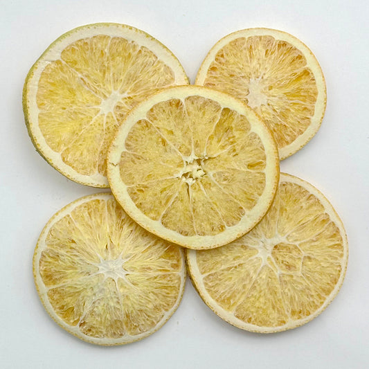 Dried Orange Fruit Slicce Tea