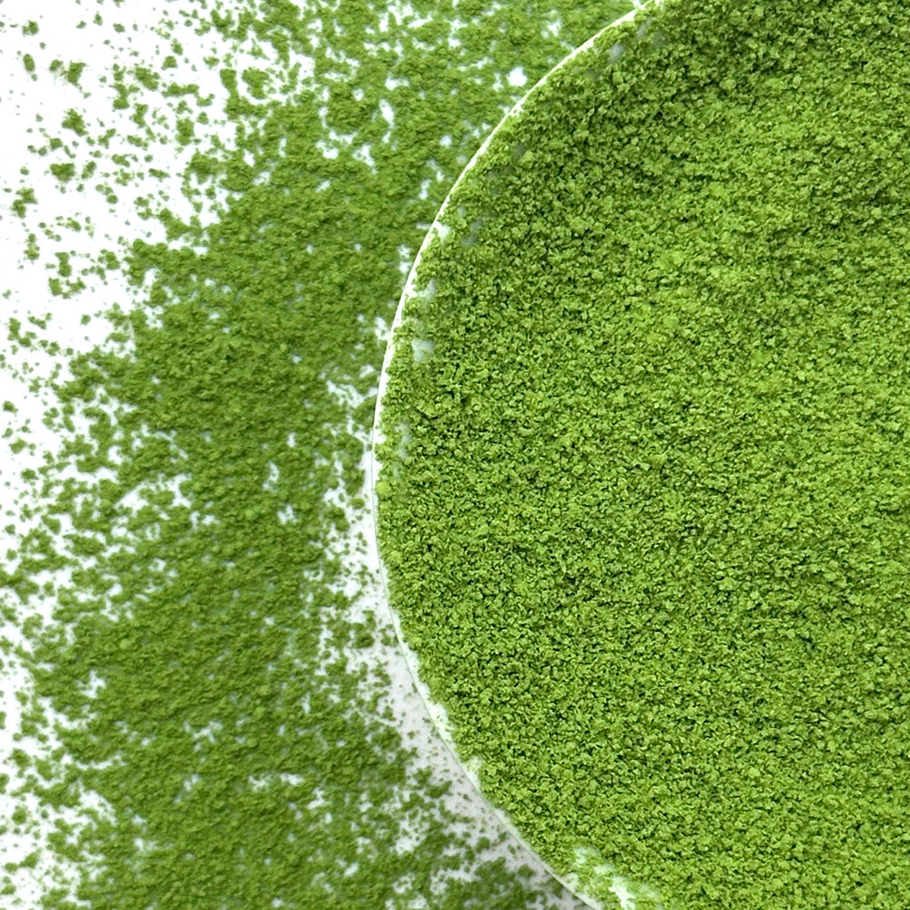 Freeze-drying Pandan Leaf Powder