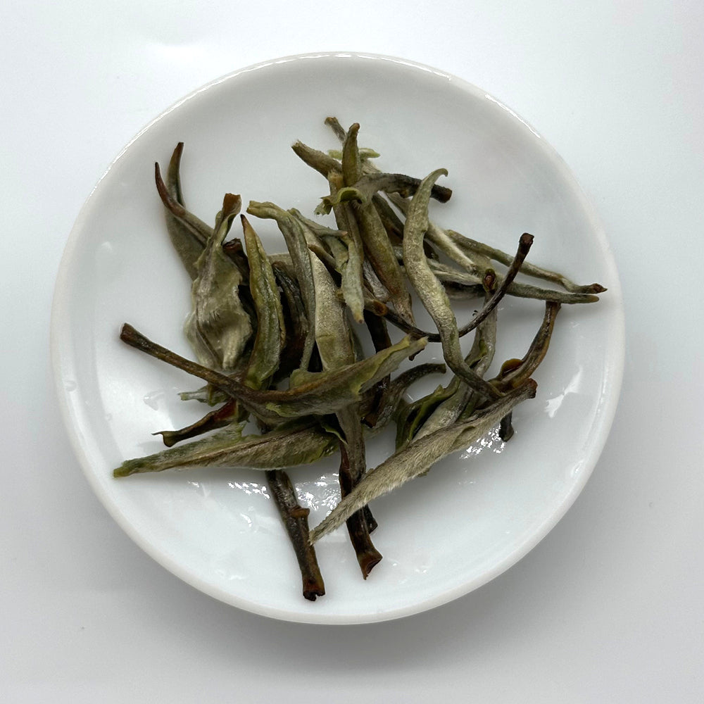 Premium Silver Needle White Tea - Middle Buds