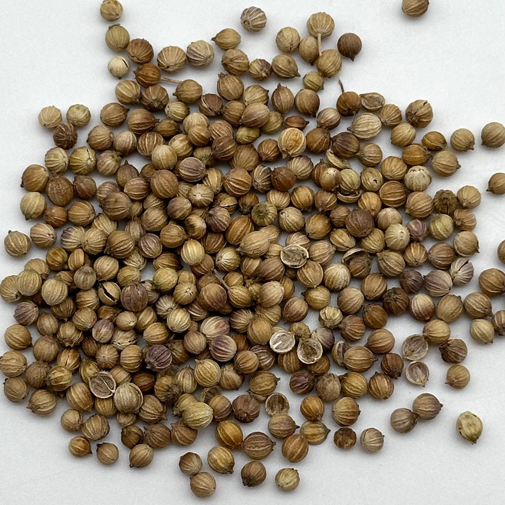 Coriander Seed Tea