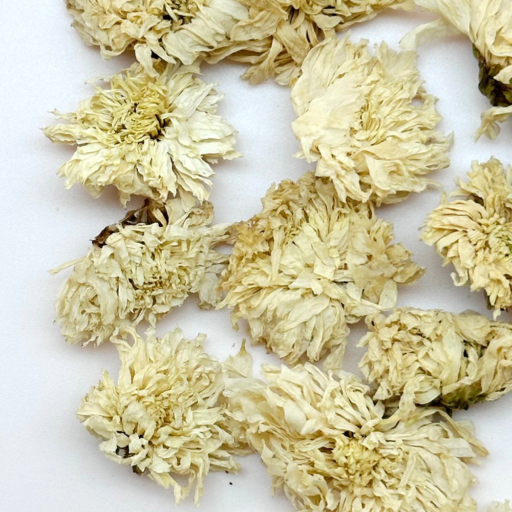 July Chrysanthemum Flower Tea