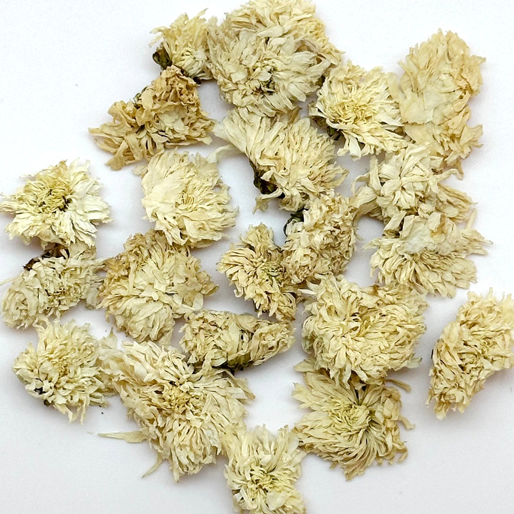 July Chrysanthemum Flower Tea