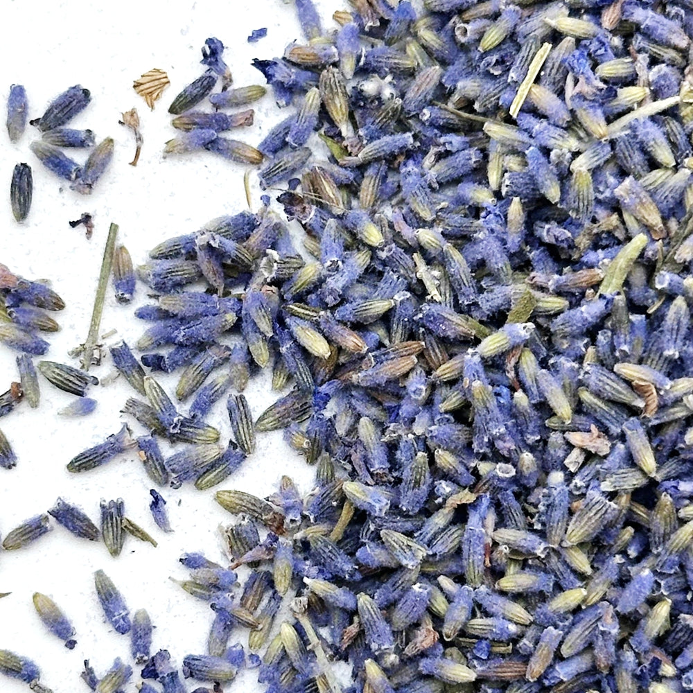 Pure and Natural Dried Lavender Buds Flower Tea 100grams packed