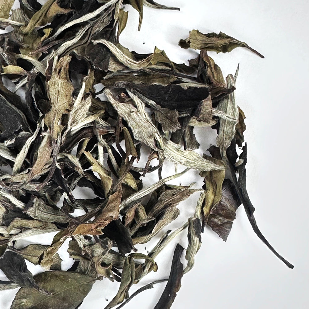 Yunnan Moonlight Bai Mudan (White Peony)