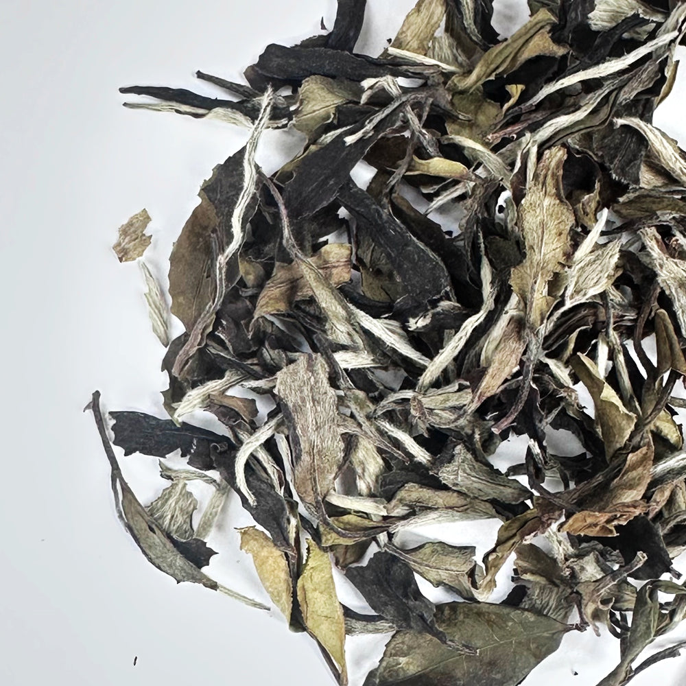 Yunnan Moonlight Bai Mudan (White Peony)