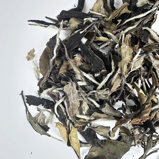 Yunnan Moonlight Bai Mudan (White Peony)