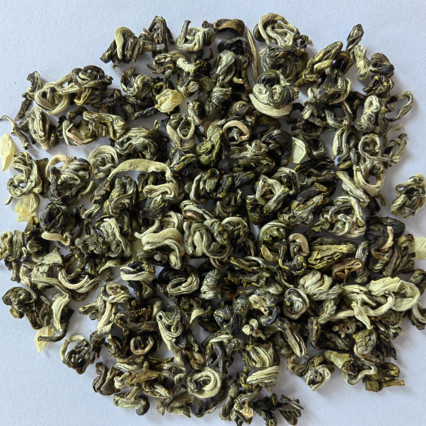 Jasmine Jade Snail King Spring Tea