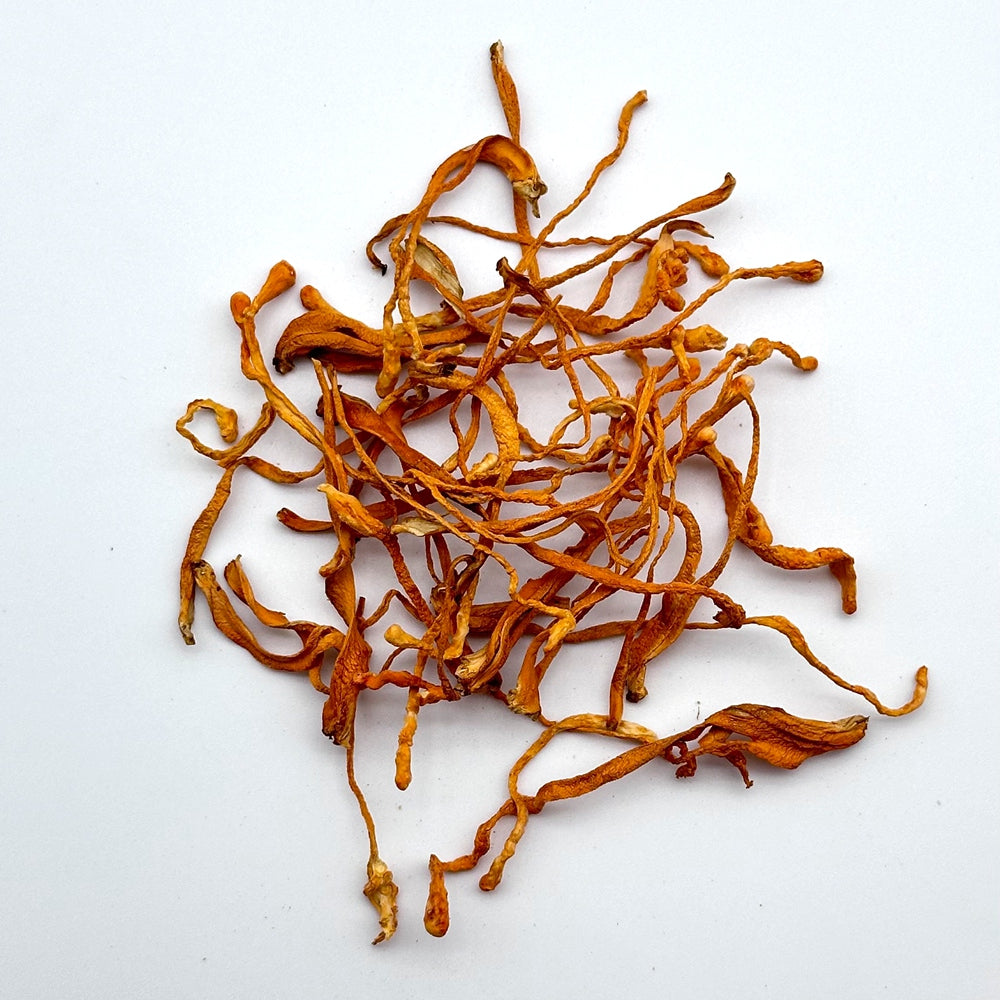 Cordyceps Militaris Herbal Tea Powder