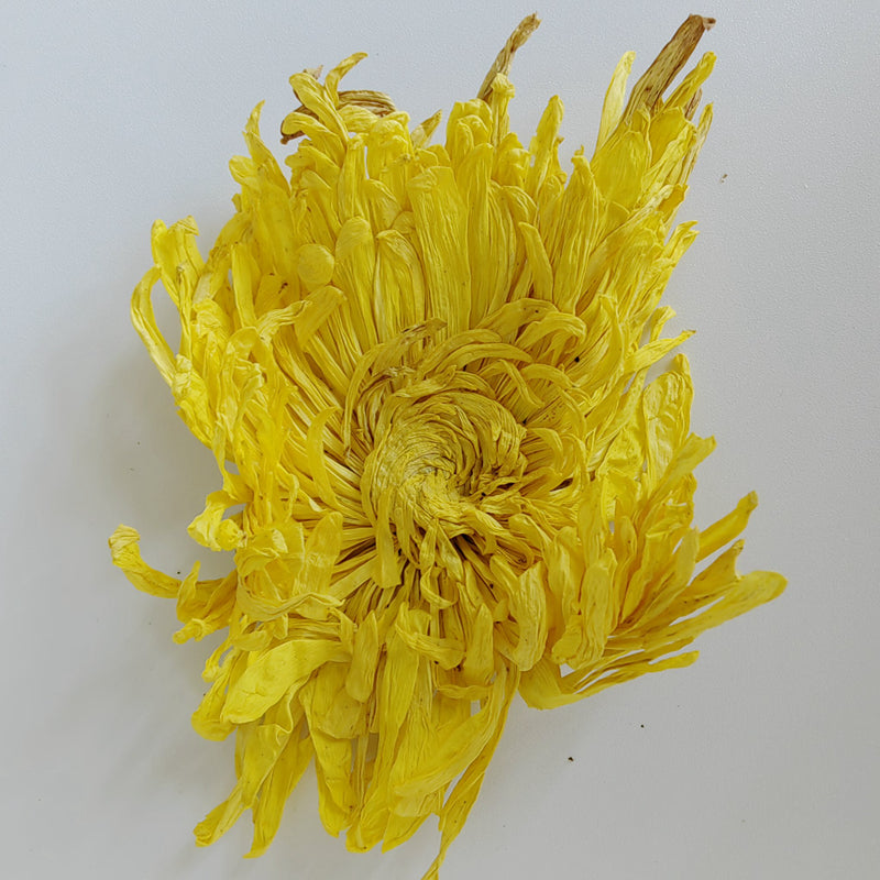 Golden silk yellow chrysanthemum 15grams Loose Leaf Tea