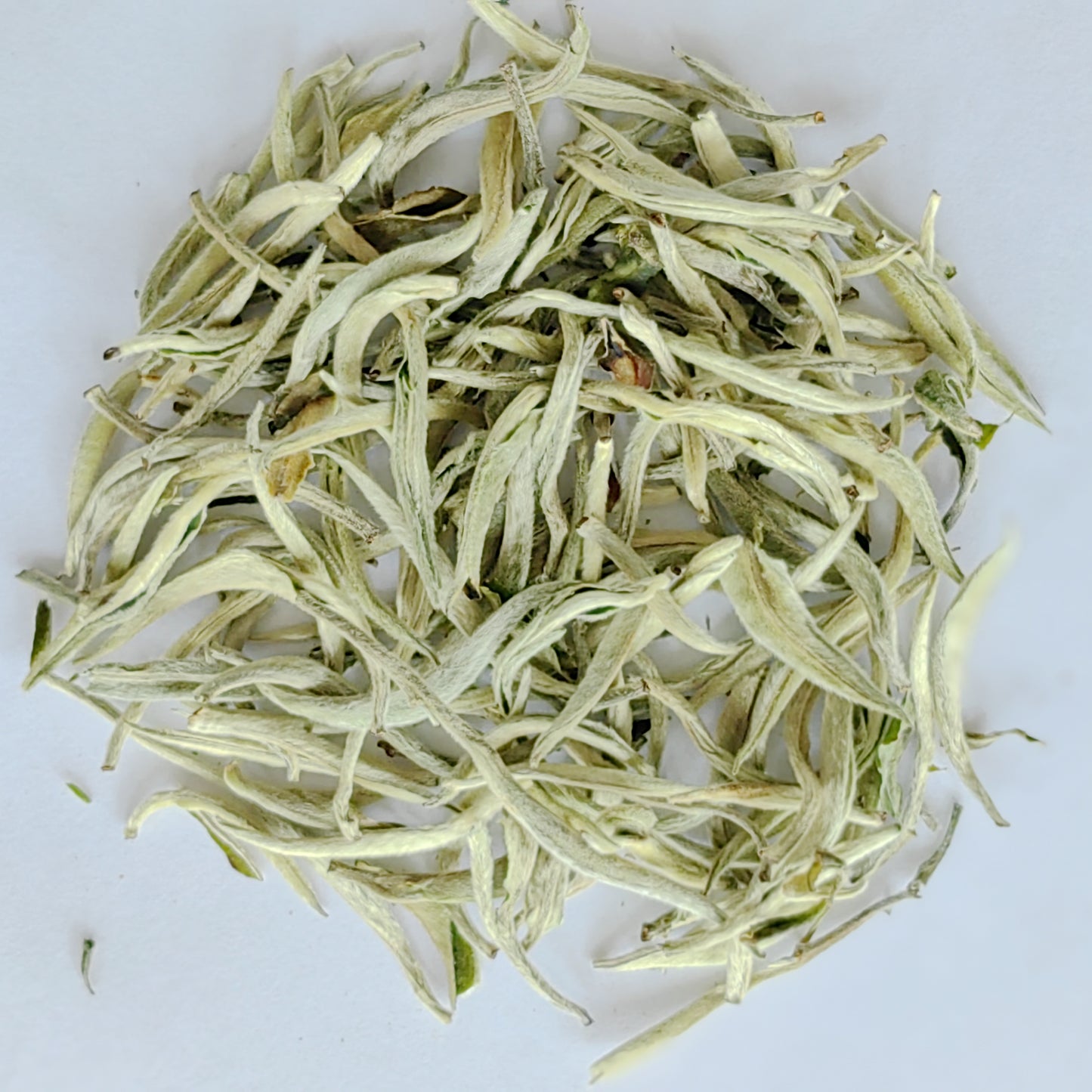 White Tea - silver needle white tea wholesale