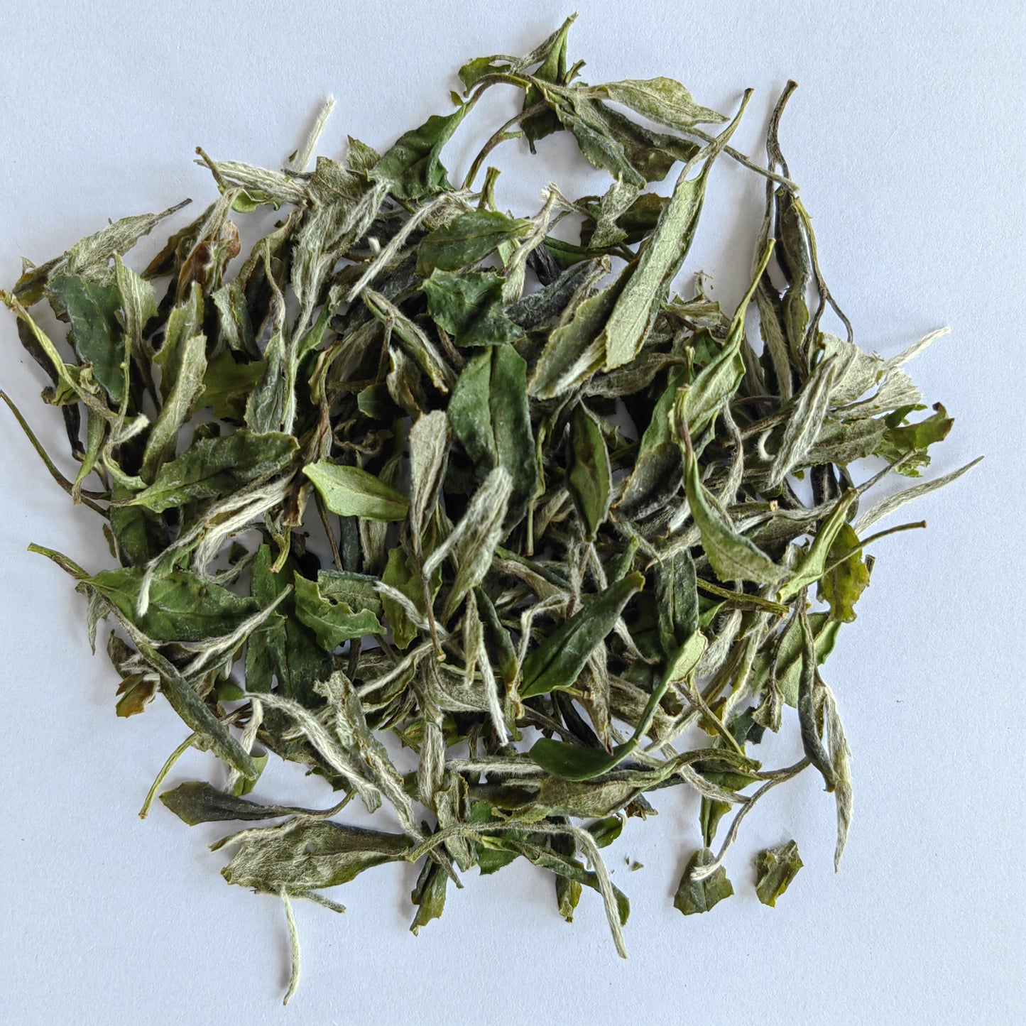 White Tea - White Peony Bai Mu Dan