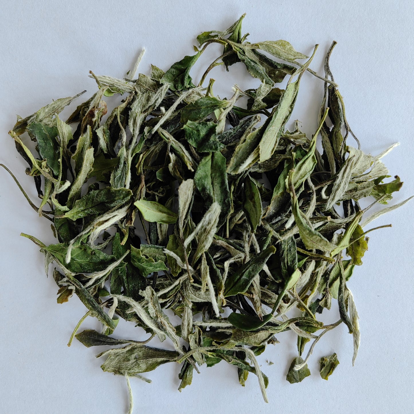 White Tea - White Peony Bai Mu Dan