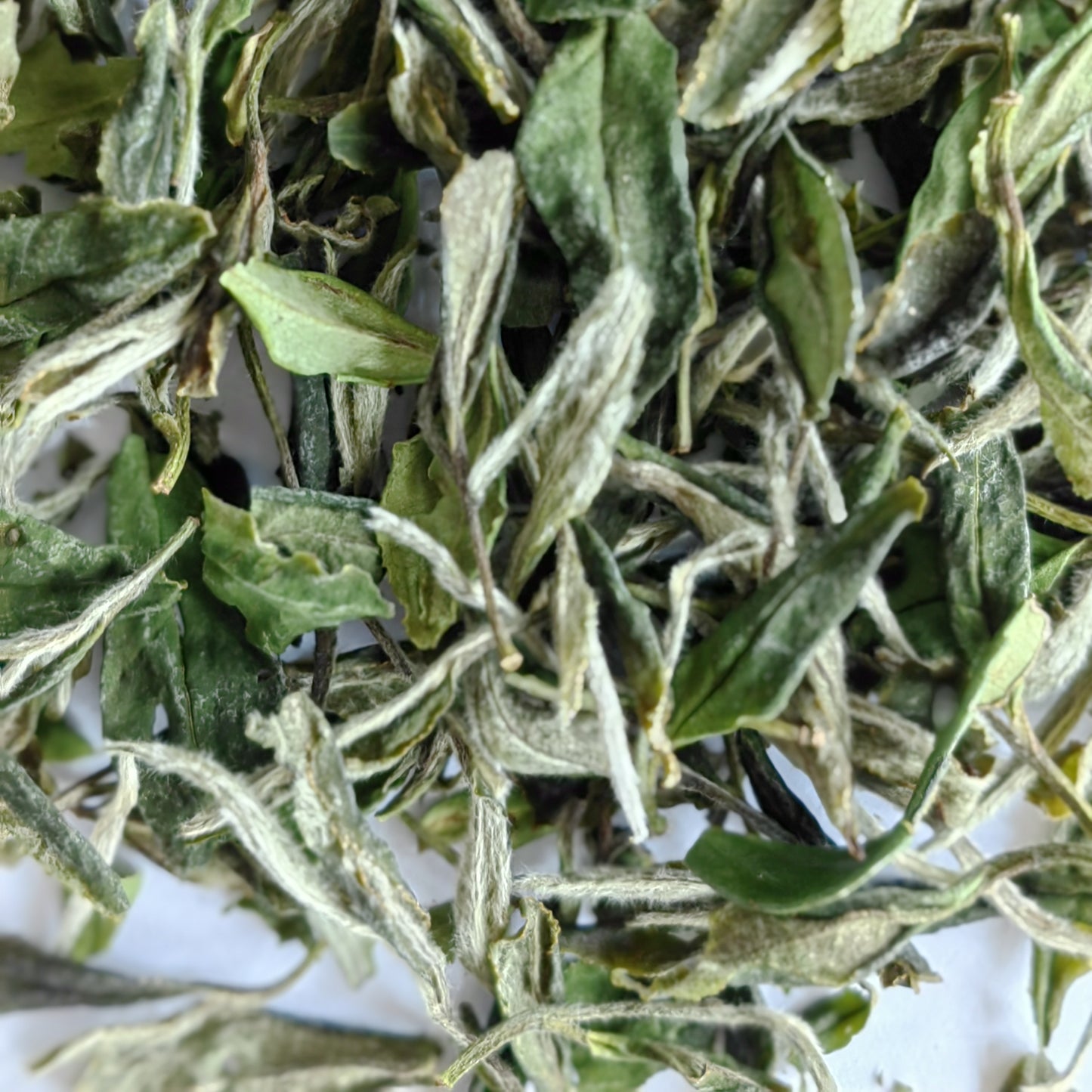 White Tea - White Peony Bai Mu Dan