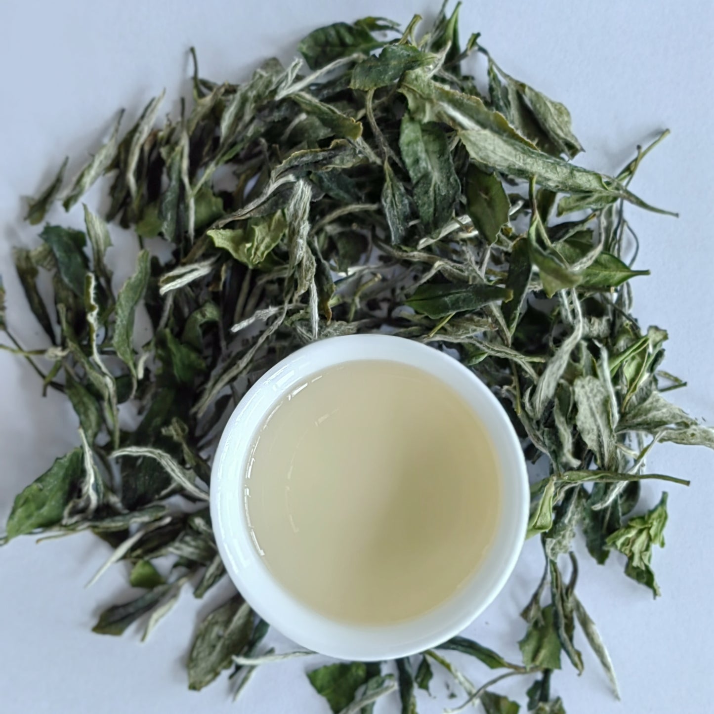 White Tea - White Peony Bai Mu Dan