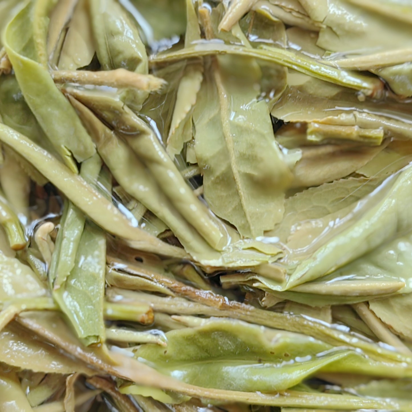 White Tea - White Peony Bai Mu Dan