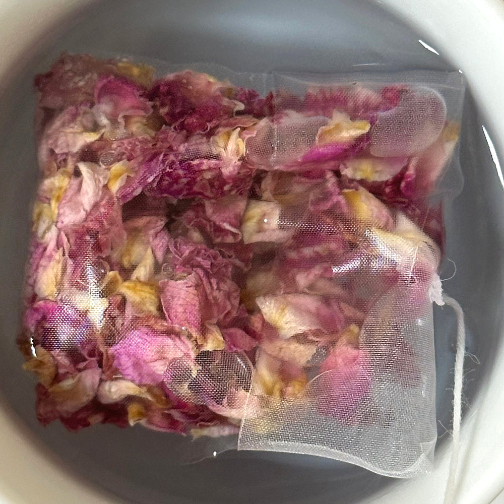 Empty Nylon disposable reverse-fold teabag with string and tag