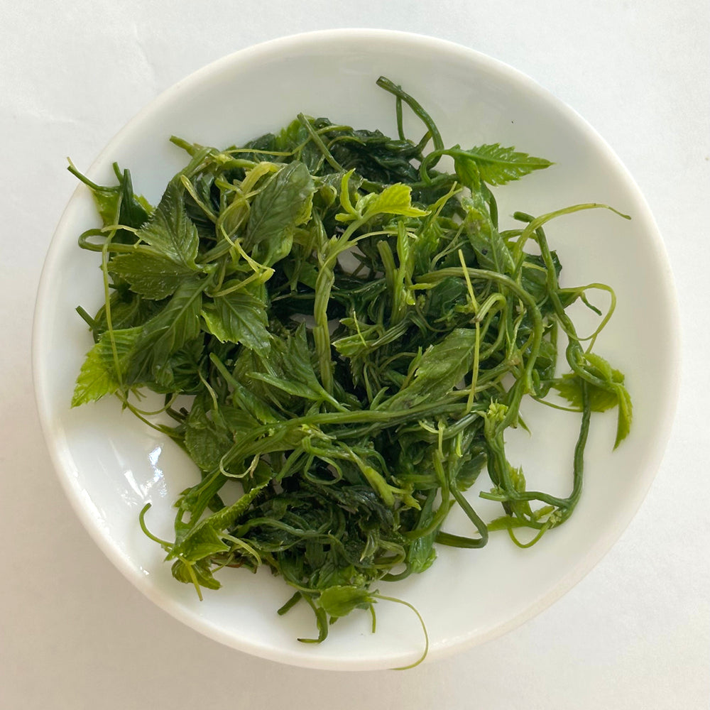 Gynostemma pentaphylla 1st grade