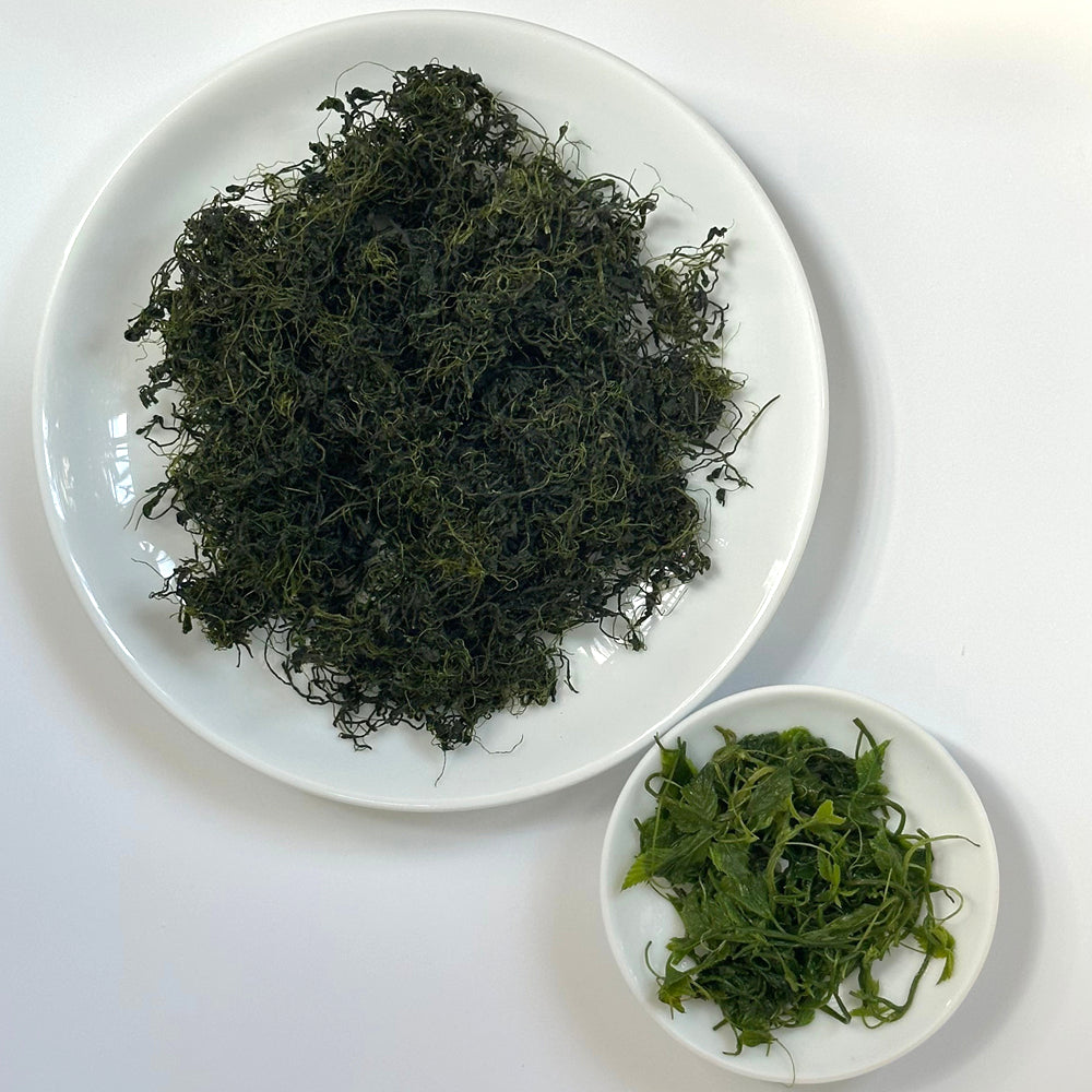 Gynostemma pentaphylla 1st grade