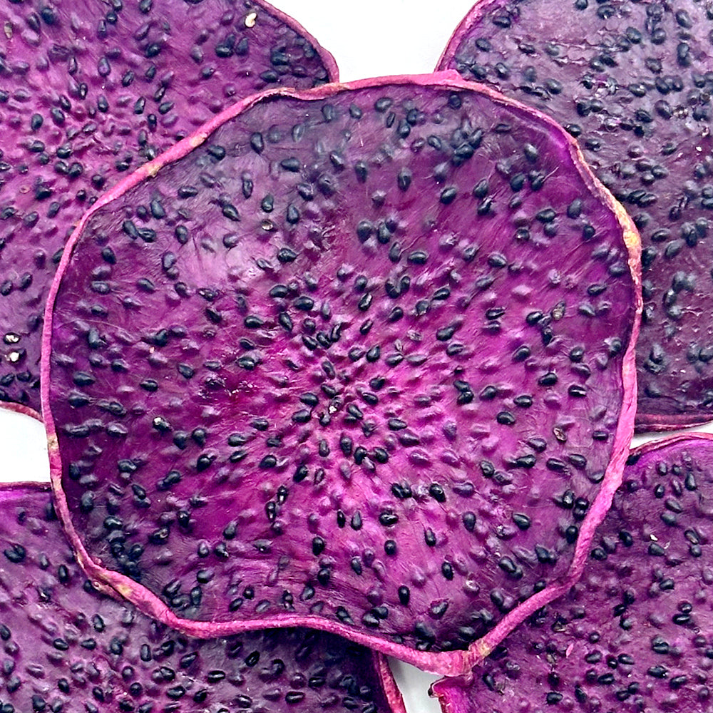 Dried Dragon Fruit Slice Tea