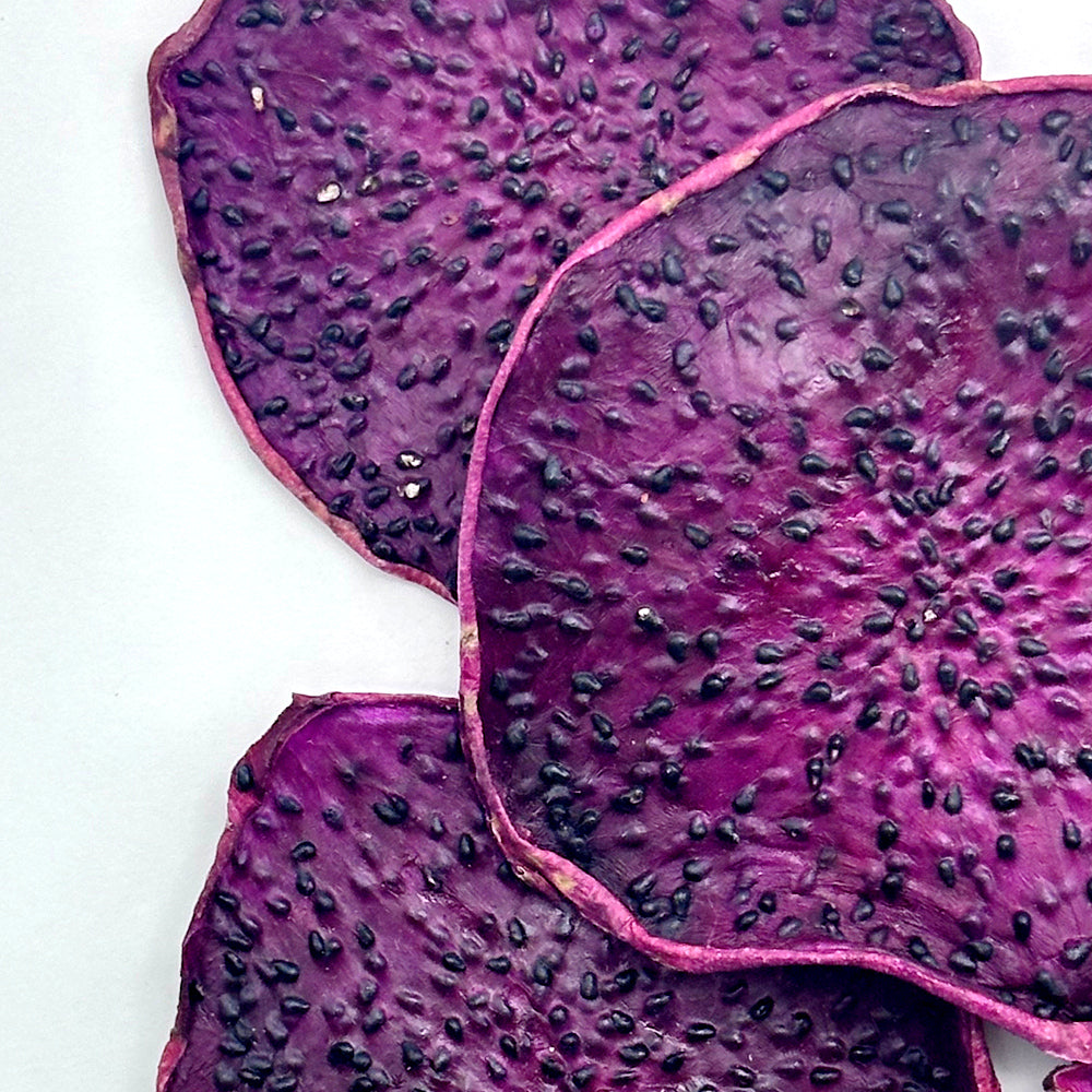 Dried Dragon Fruit Slice Tea