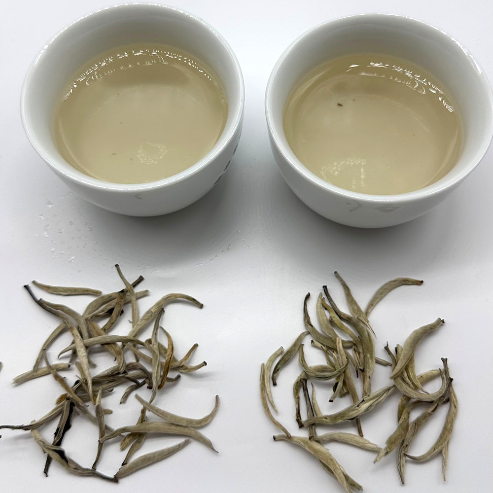 Premium Silver Needle White Tea - Big Buds