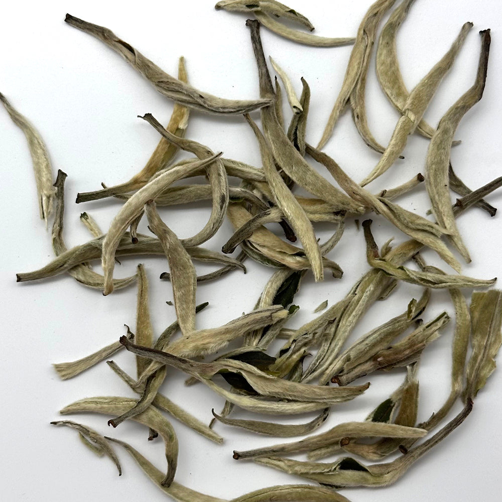 Premium Silver Needle White Tea - Big Buds