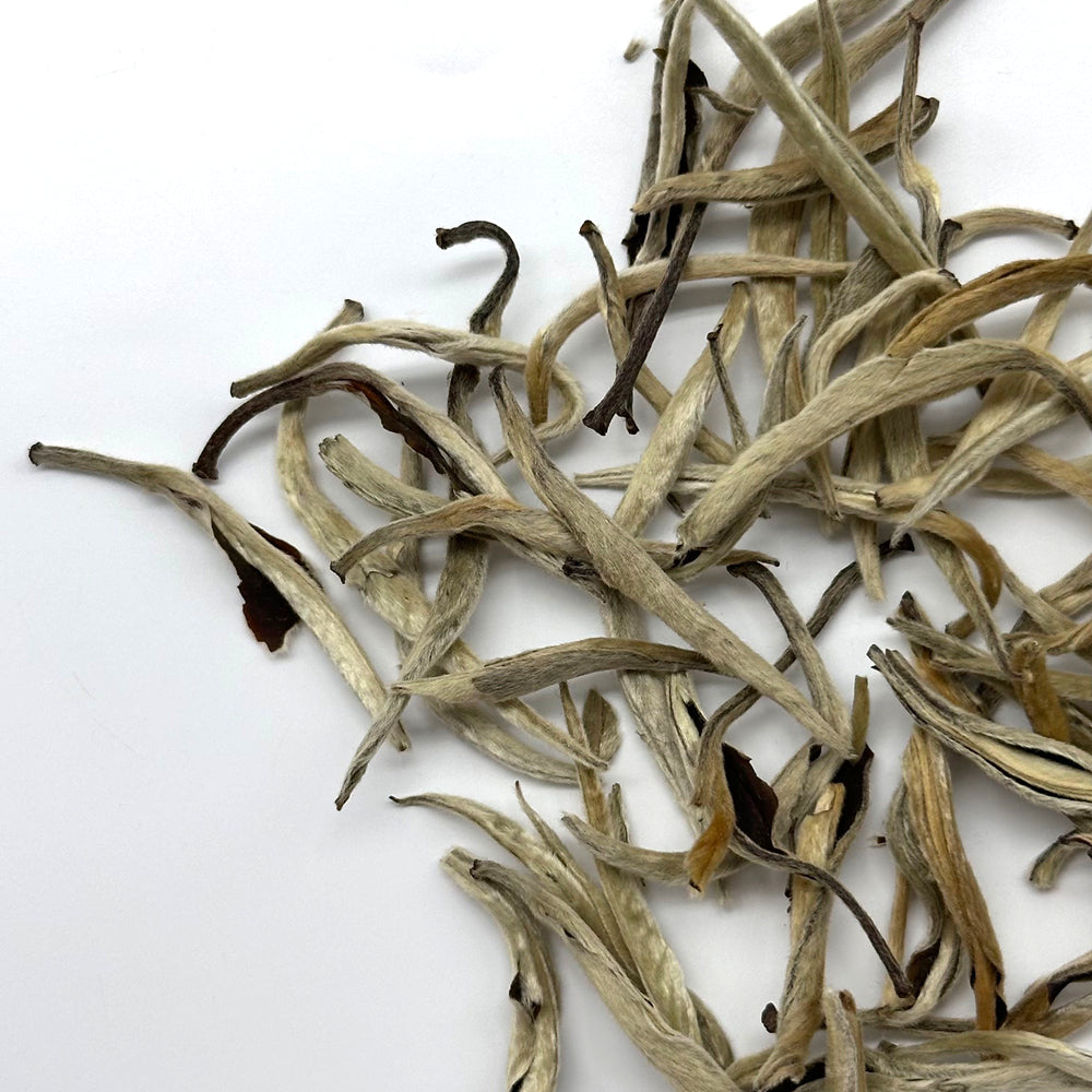 Premium Silver Needle White Tea - Middle Buds