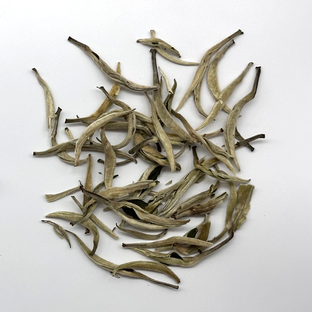 Premium Silver Needle White Tea - Big Buds
