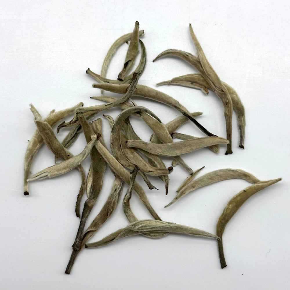 Premium Silver Needle White Tea - Big Buds