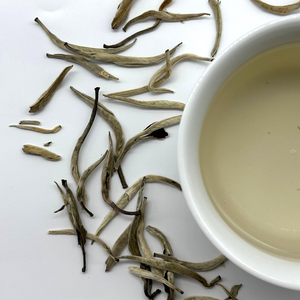 Premium Silver Needle White Tea - Middle Buds