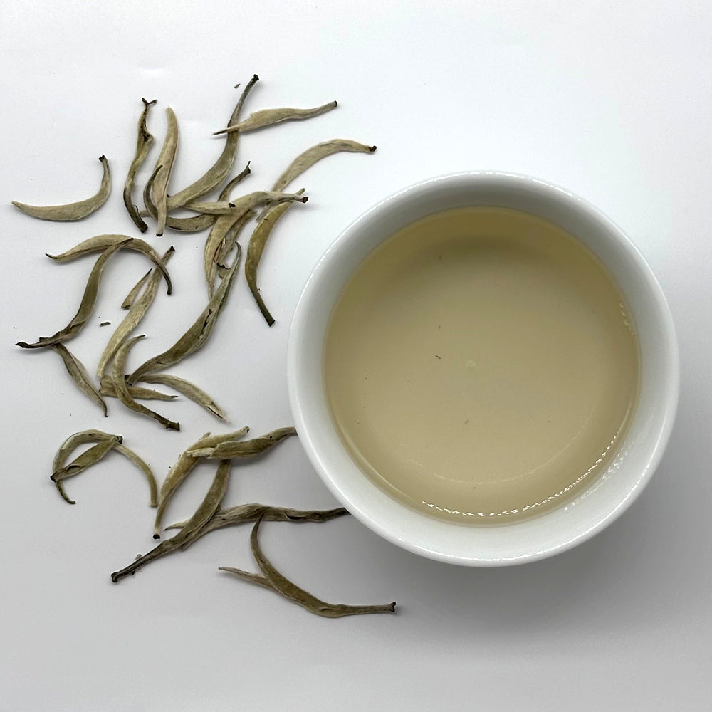 Premium Silver Needle White Tea - Big Buds