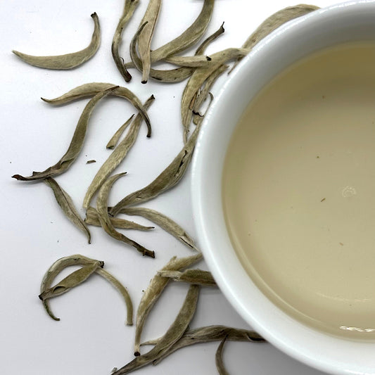 Premium Silver Needle White Tea - Big Buds
