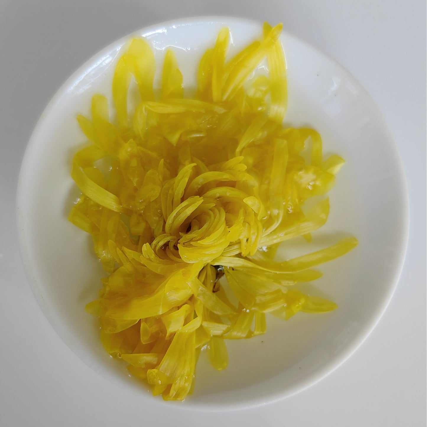 Golden Silk King Chrysanthemum Tea 2A