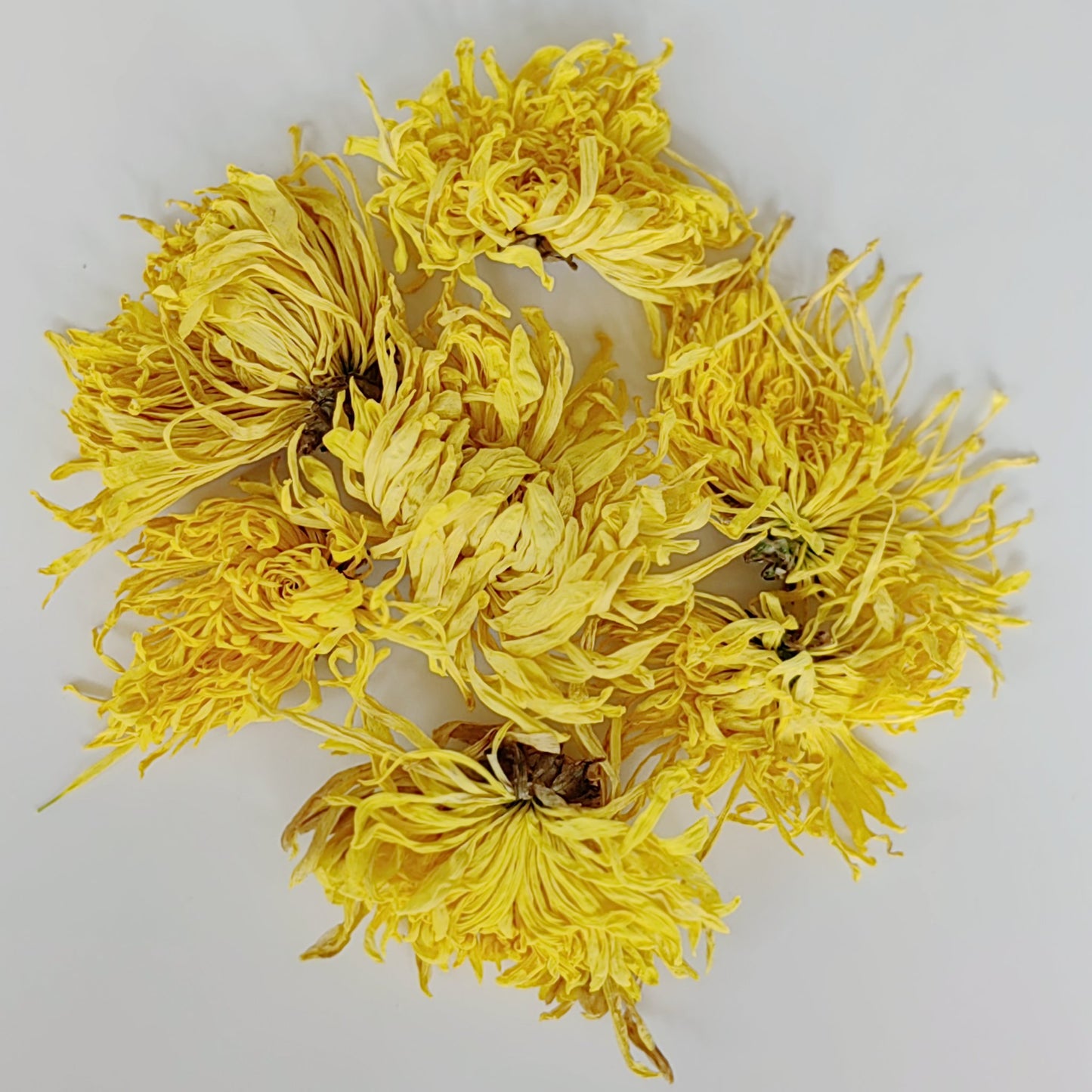 Golden Silk King Chrysanthemum Tea 2A