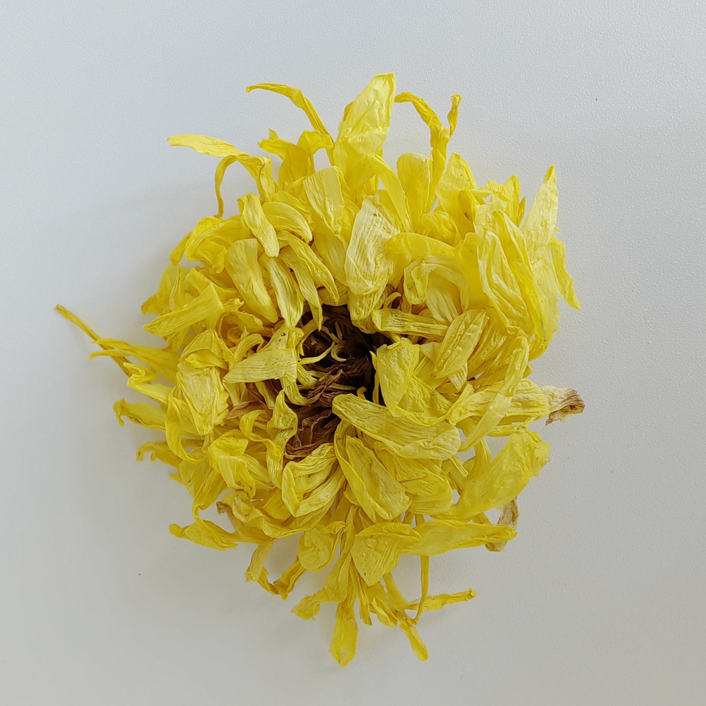 Golden Silk King Chrysanthemum Tea 3A