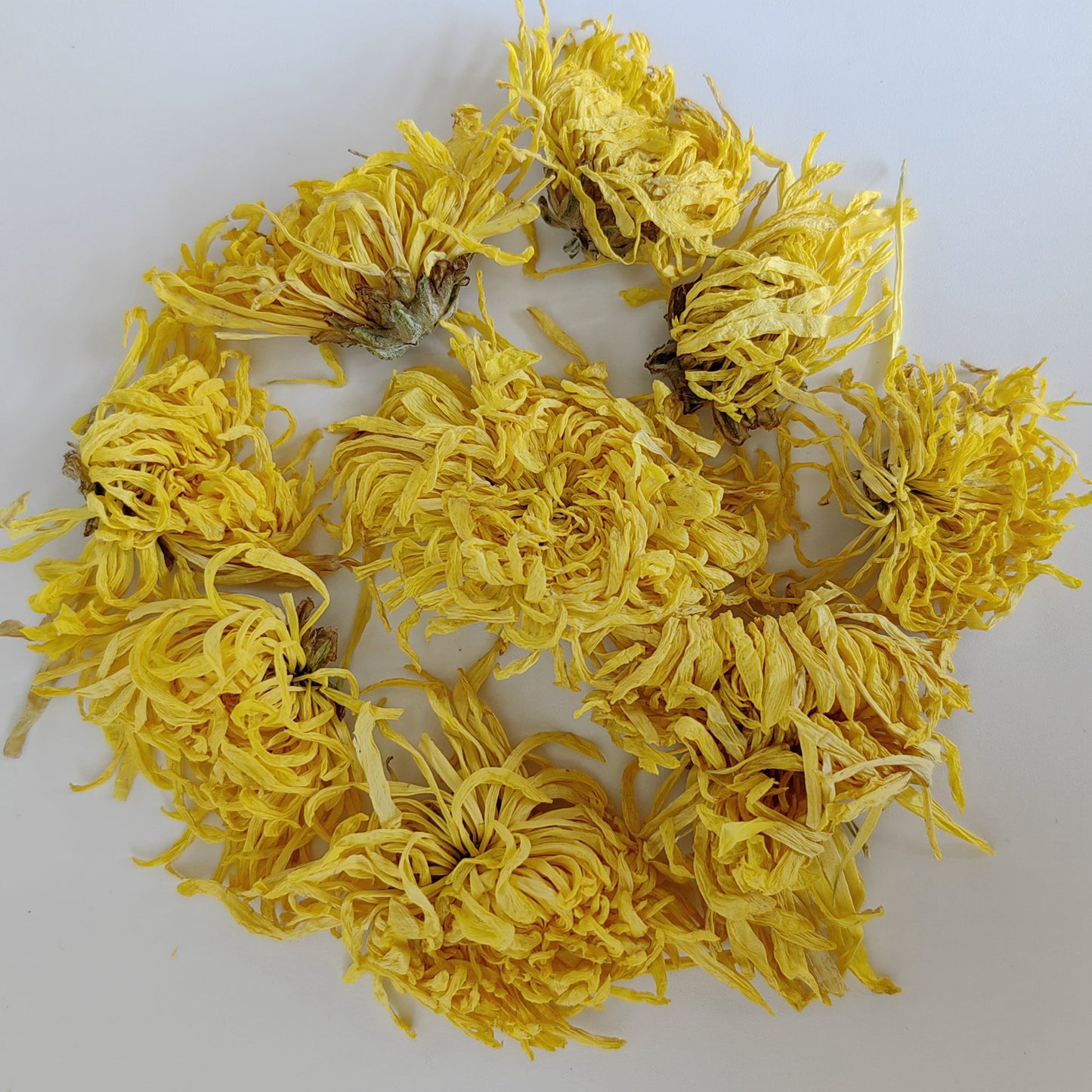 Golden Silk King Chrysanthemum Tea 3A