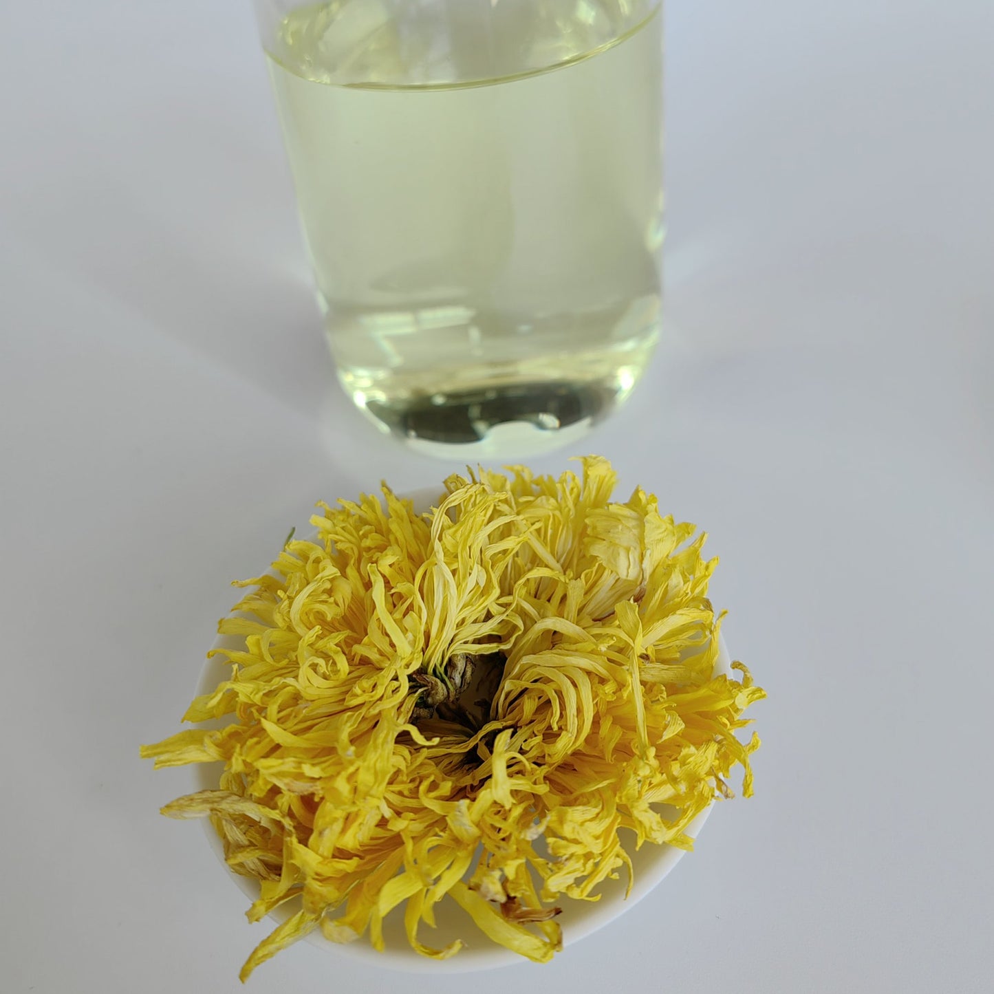 Golden Silk King Chrysanthemum Tea - A