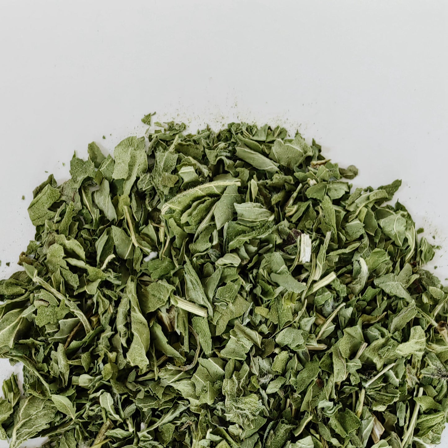 Spearmint Cutting