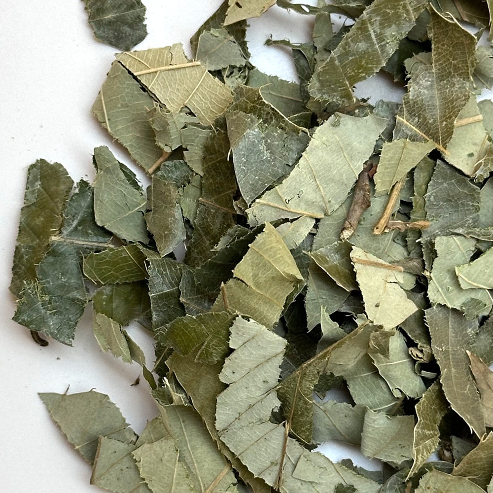 Horny Goat Weed / Epimedium Herbal Tea