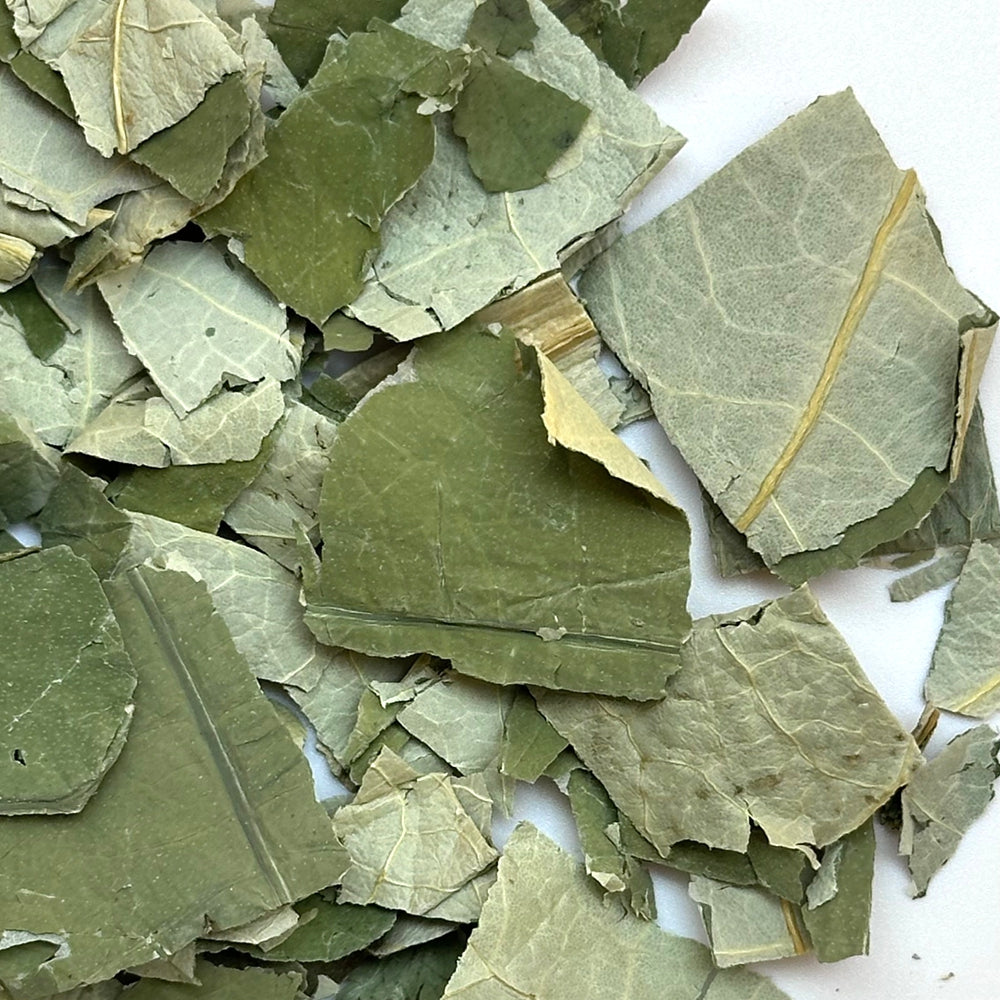 Lotus Leaf Tea