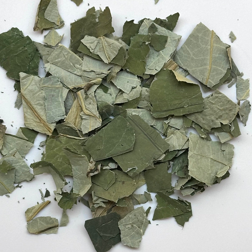 Lotus Leaf Tea