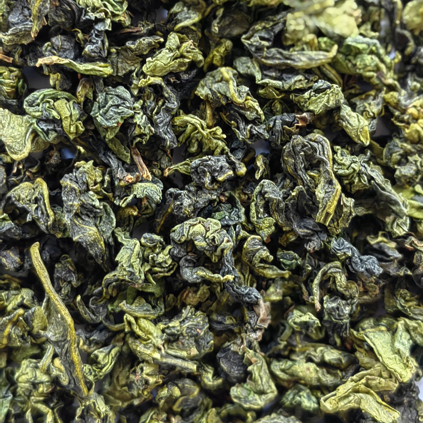 Oolong Tea - Strong Fragrant Tie Guan Yin