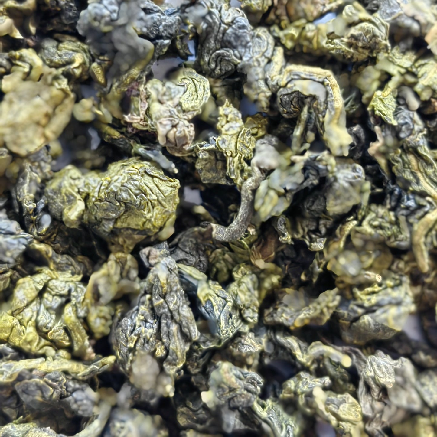 Oolong Tea - Strong Fragrant Tie Guan Yin