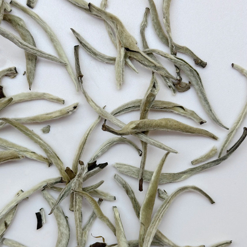 100 grams packed Moonlight Silver Needle White Tea