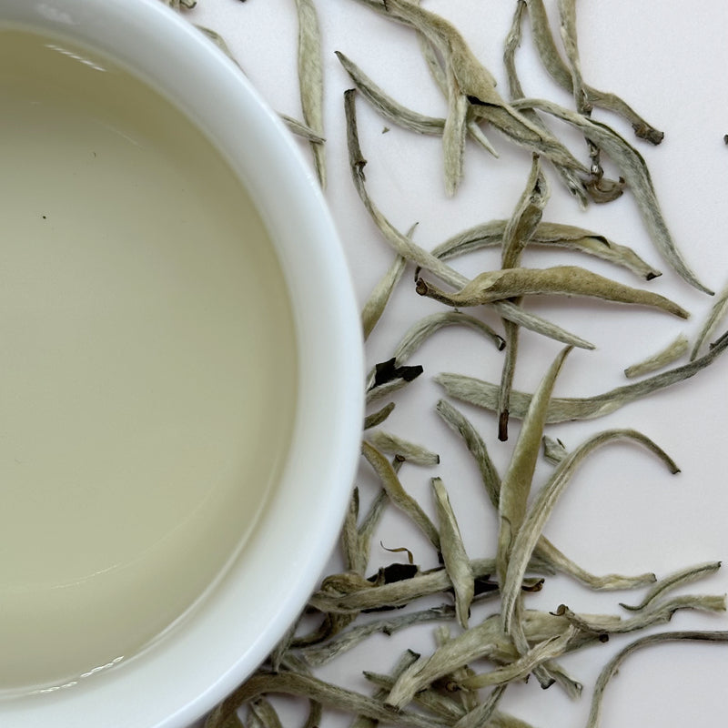 100 grams packed Moonlight Silver Needle White Tea