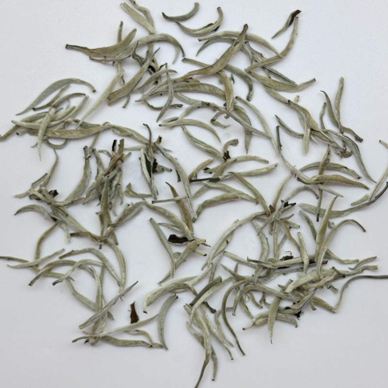 100 grams packed Moonlight Silver Needle White Tea