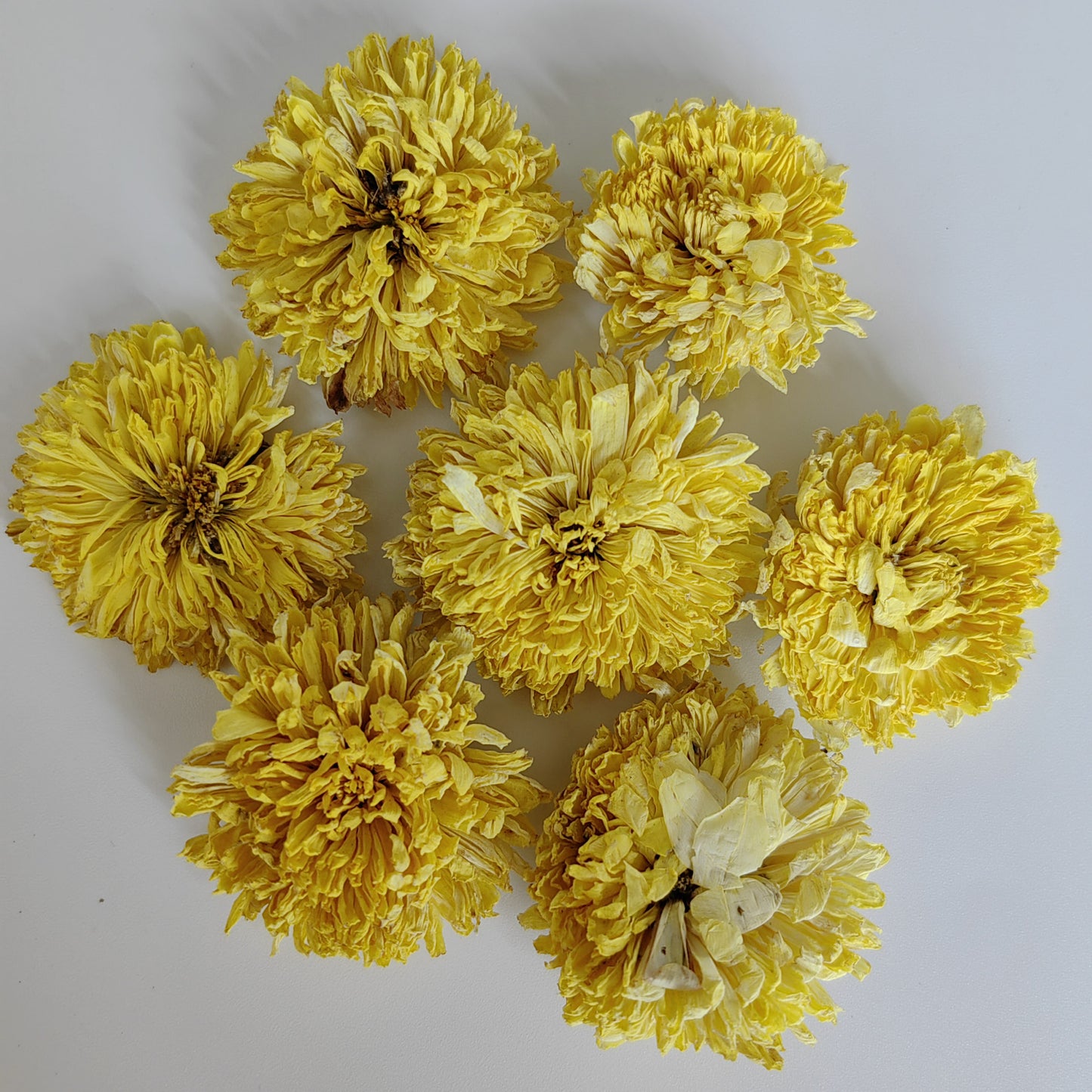 Wuyuan Royal Dried Chrysanthemum